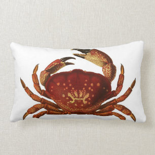 Coussin Rectangle Carreau de Lumbar de crabe en pierre de la Floride