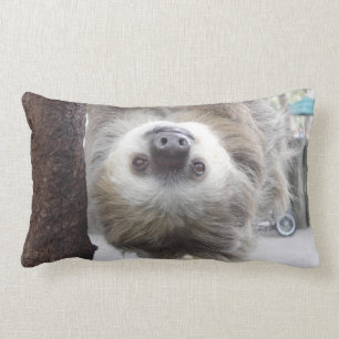 Coussin Rectangle Carreau de paresse
