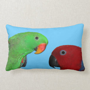 Coussin Rectangle carreau hommes-femmes de perroquet d'eclectus