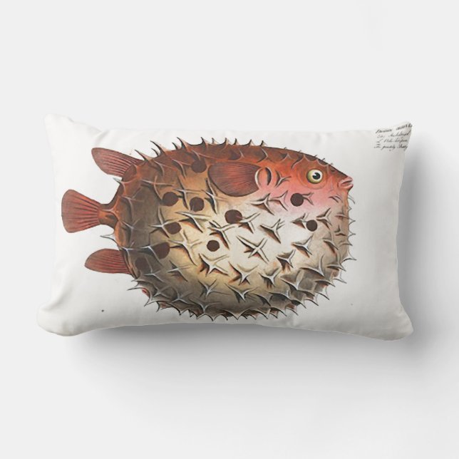 Coussin Rectangle Carreau nautique de Lumbar de poissons de (Recto)