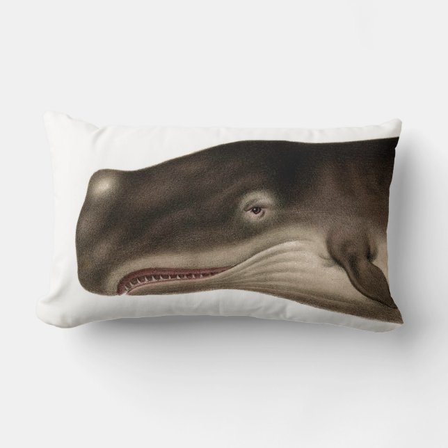 Coussin Rectangle Carreau nautique lombaire de baleine grise (Recto)