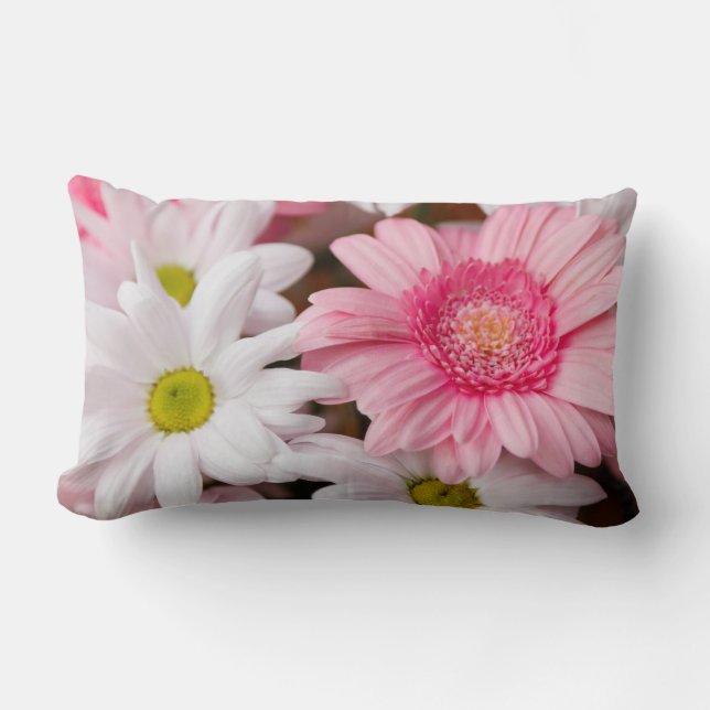 Coussin Rectangle Carreaux - fleurs de Gerbera de marguerite (Recto)