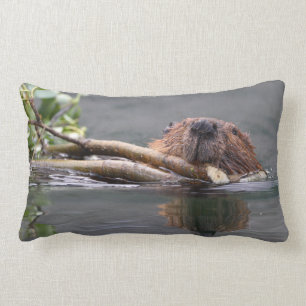 Coussin Rectangle castor