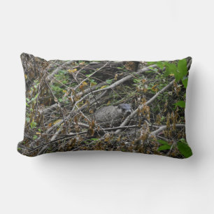 Coussin Rectangle Castor occupé
