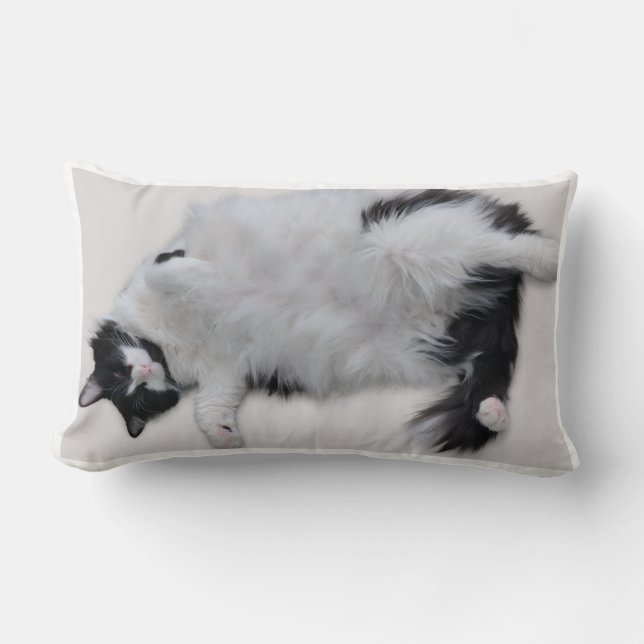 Coussin Rectangle Cat Pillow (Recto)