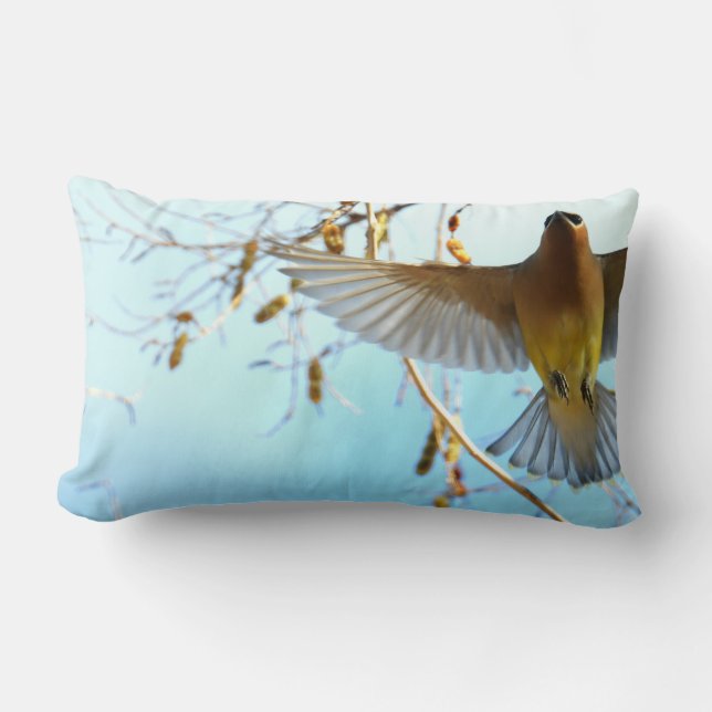 Coussin Rectangle Cèdre ciré en vol/Ciel bleu pâle (Recto)