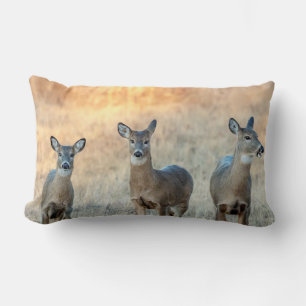 Coussin Rectangle Cerf dans un champ