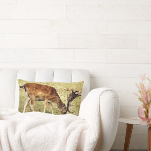 COUSSIN RECTANGLE CERVEAU