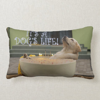 Coussin Rectangle C'est une vie de chien