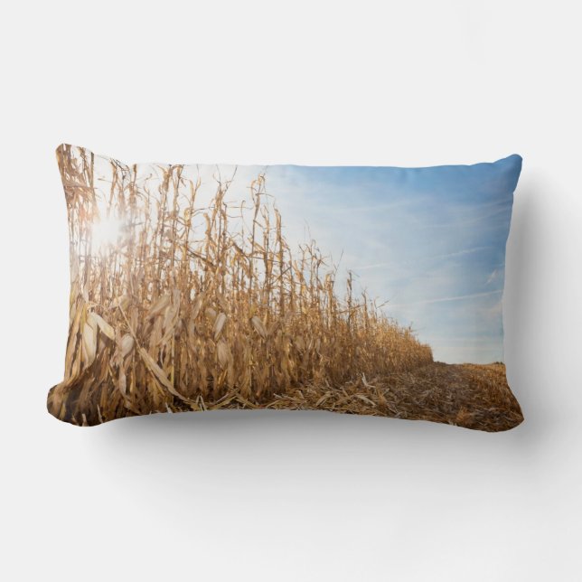 Coussin Rectangle Champ de maïs en partie moissonné (Recto)