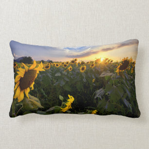 Coussin Rectangle Champ des tournesols de floraison