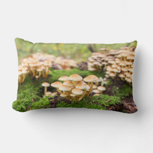 Coussin Rectangle Champignons jaunes dans la forêt d'automne.