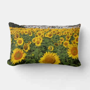 Coussin Rectangle Champs de tournesols, ville de collines blanches d