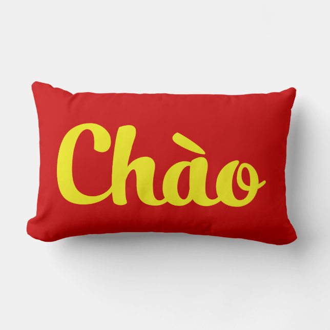 Coussin Rectangle Chào / Hello ~ Vietnam / Vietnamien / Tiêt Viêt (Recto)