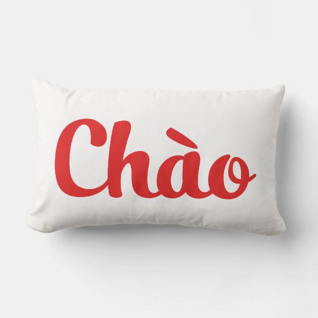 Coussin Rectangle Chào / Hello ~ Vietnam / Vietnamien / Tiêt Viêt (Recto)