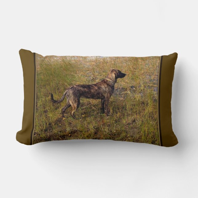 Coussin Rectangle Chasse Plott Hound Jeu d'oreiller (Recto)