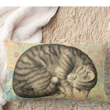 Chat courbé dormant sur la courtepointe mignon dou