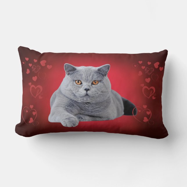 Coussin Rectangle Chat d'amour de short britannique (Recto)