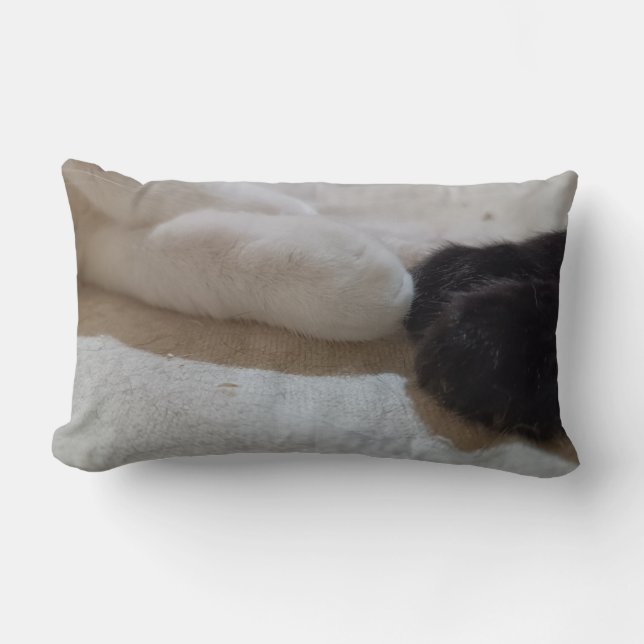 Coussin Rectangle chat dieu chat homme (Recto)