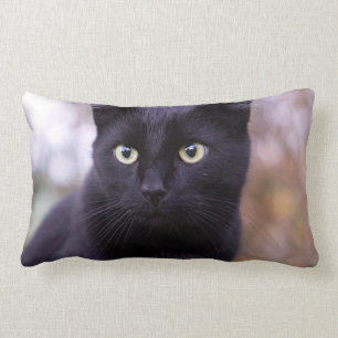 Coussin Rectangle chat noir