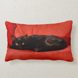 Coussin Rectangle Chat noir Edgar