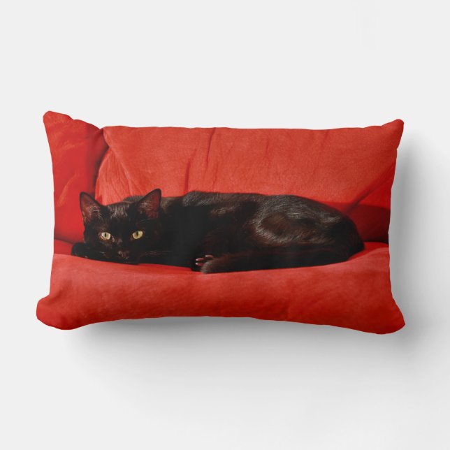 Coussin Rectangle Chat noir Edgar (Recto)