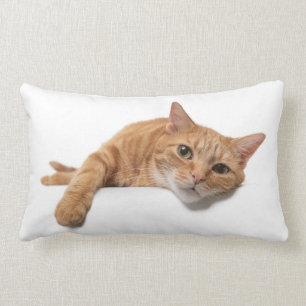 Coussin Rectangle Chat Orange Posé En Bas