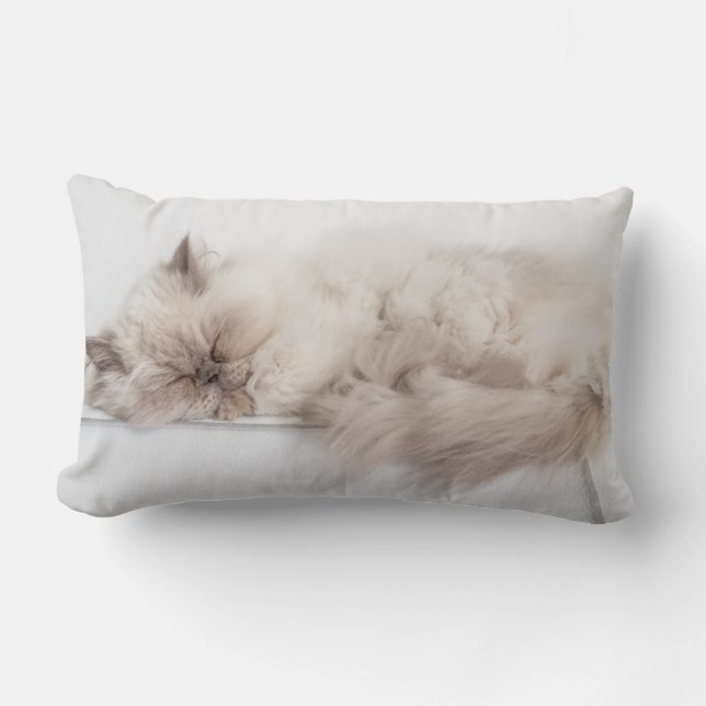 Coussin Rectangle Chat persan (Recto)