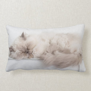Coussin Rectangle Chat persan