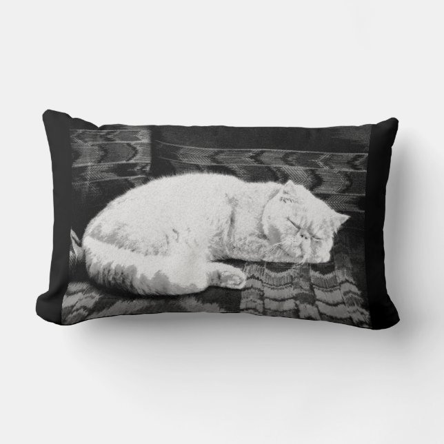 Coussin Rectangle Chat perse blanc couché (Recto)