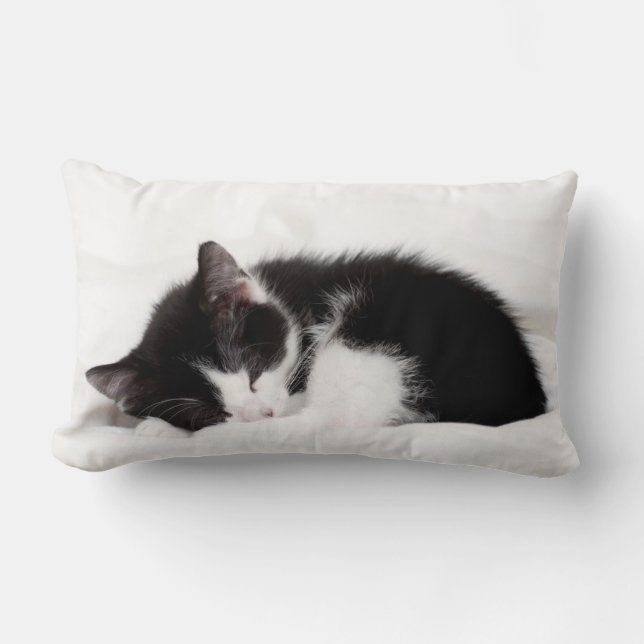 Coussin Rectangle Chaton de sommeil (Recto)