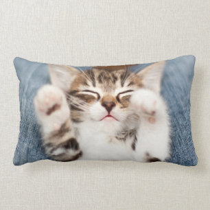 Coussin Rectangle Chaton sur mon recouvrement
