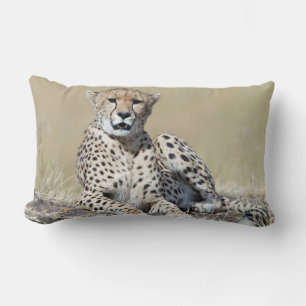 Coussin Rectangle Cheetah