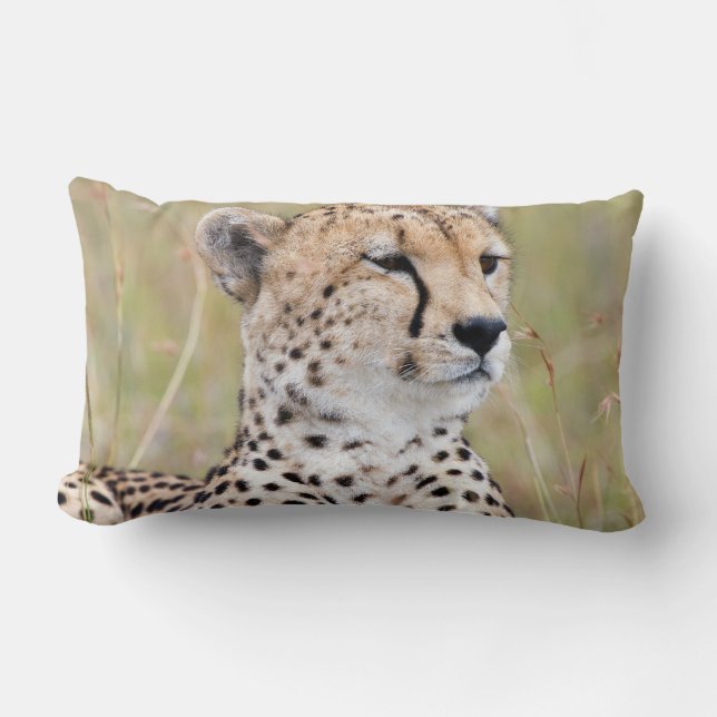 Coussin Rectangle Cheetah (Recto)