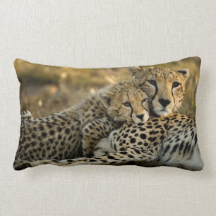 Coussin Rectangle Cheetah Cub Snuggling