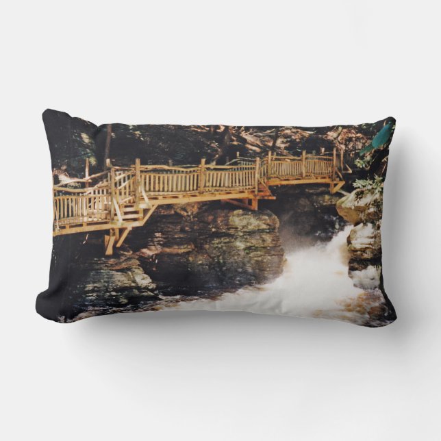 Coussin Rectangle Chemin dangereux (Recto)