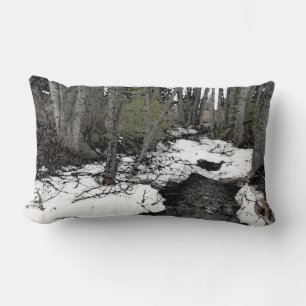 Coussin Rectangle Chester Creek Deux