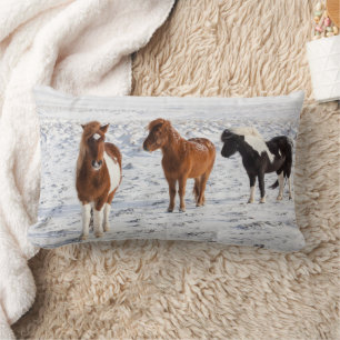 Coussin Rectangle Cheval islandais avec pelage d'hiver typique