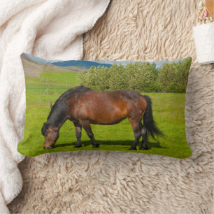Coussin Rectangle Cheval islandais Mossfellsbaer