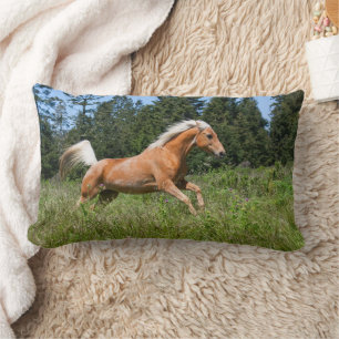 Coussin Rectangle Cheval Palomino courant à travers une prairie