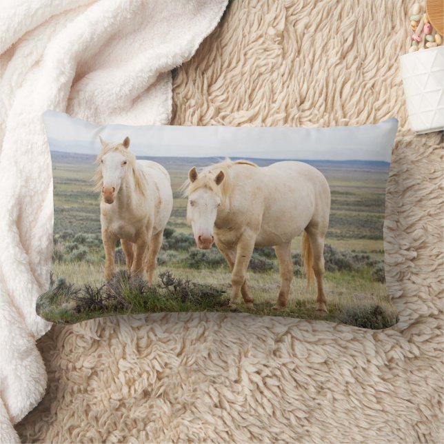 Coussin Rectangle Cheval sauvage errant dans la prairie de Cody (Couverture)