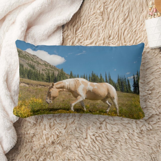 Coussin Rectangle Cheval sur herbes dans une prairie alpine en été (Couverture)