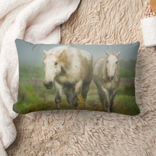 Coussin Rectangle Chevaux blancs de Camargue en champ (Couverture)