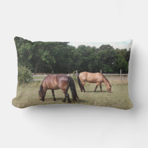 Coussin Rectangle Chevaux de Baie et de Dun Pâturage dans les pâtura