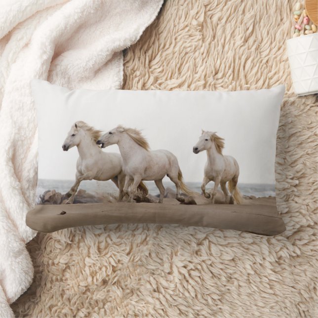 Coussin Rectangle Chevaux de Camargue courant sur la plage (Couverture)