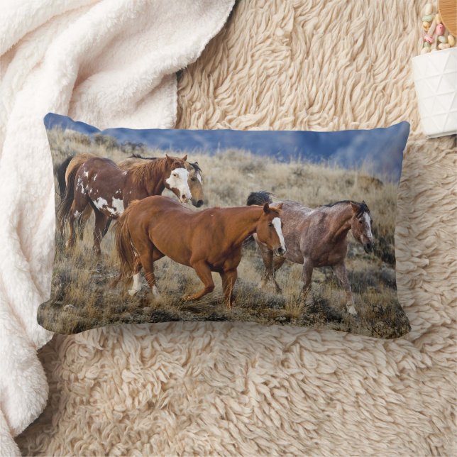 Coussin Rectangle Chevaux errant dans les collines (Couverture)