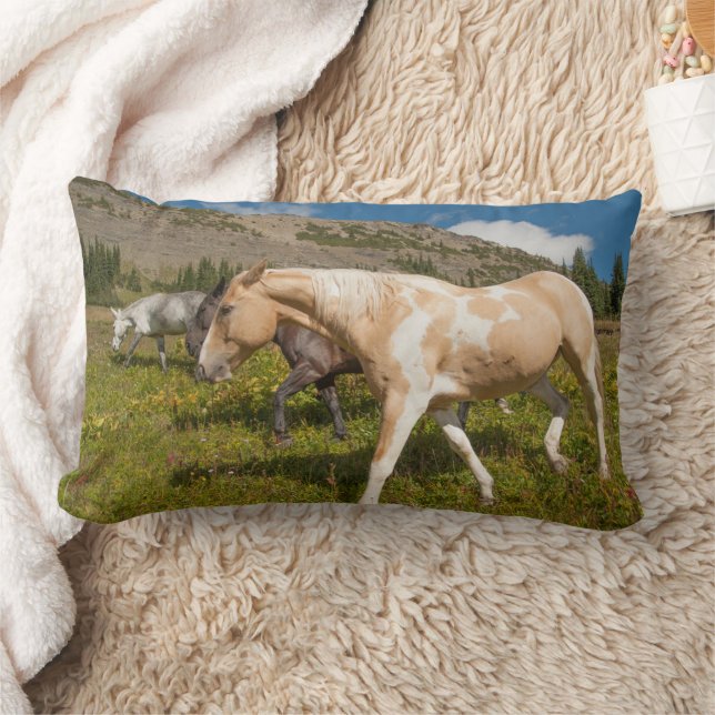 Coussin Rectangle Chevaux et mulets (Couverture)