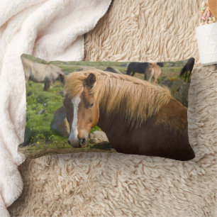Coussin Rectangle Chevaux islandais dans le nord-est de l'Islande