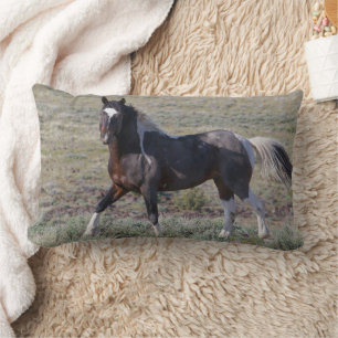 Coussin Rectangle Chevaux sauvages après un bain de poussière