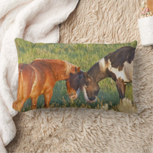 Coussin Rectangle Chevaux sauvages au parc national Theodore Rooseve